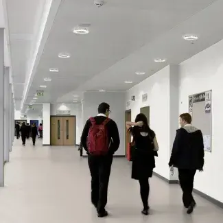 Tarasafe Standard - Product Thumbnail