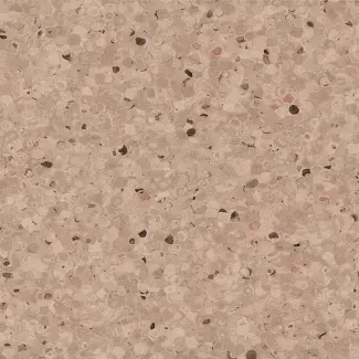 Hazelnut - scanmobile