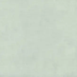 CalypsoLichen---7011