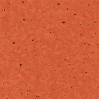 Kumquat - scanmobile