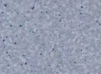 Quetsche - scanmobile