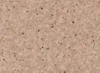 Hazelnut - scanmobile