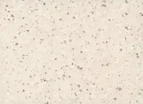 Mangoustan - scanmobile