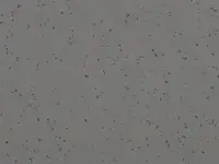 Mipolam Planet 5444 Rocky Hill