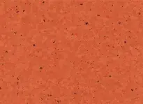 Kumquat - scanmobile